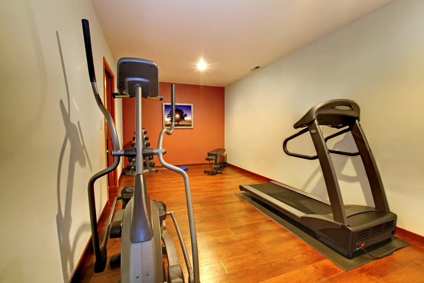 Basement Remodeling Ideas For Minneapolis Homes: Gyms & Exercise Spaces